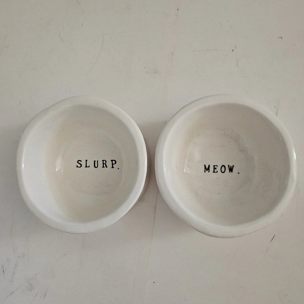 Rae Dunn Cream Ceramic Pet Bowls